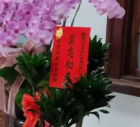 有沒有林哲瑄希望高虹安市長莫忘初衷的八卦 爆料公社