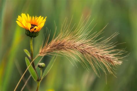 Contemplation And The Photographer Mystical Awareness Nature And