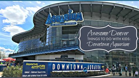 Denver Things to Do with Kids: Downtown Aquarium | Explorer Momma