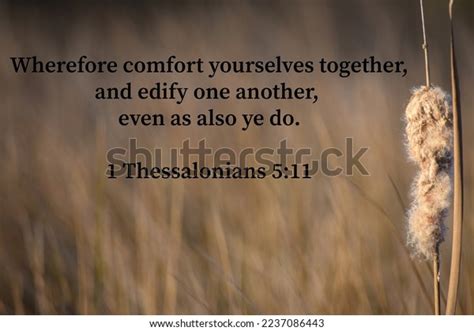 1 Thessalonians 511 Bible Verse King Stock Photo 2237086443 Shutterstock