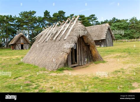 Wood And Thatch Buildings At West Stow Anglo Saxon Village Suffolk