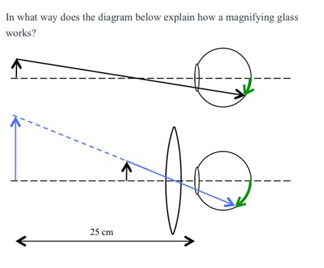 Solved In What Way Does The Diagram Below Explain How A