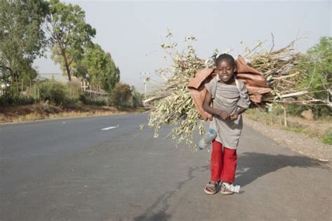 Le Travail Des Enfants Dans L Agriculture