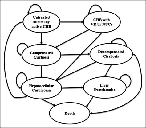 Cost Effectiveness Analysis Of Antiviral Therapy For Untreated