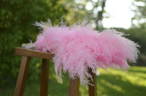 Preserved Dyed Pampas Grass The Blaithin Blair Shop