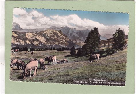 Flumserberg Blick von Prodalp auf Bündnerberge Kühe Kaufen auf