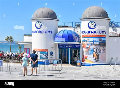 Oceanarium bournemouth aquarium bournemouth dorset hi-res stock ...