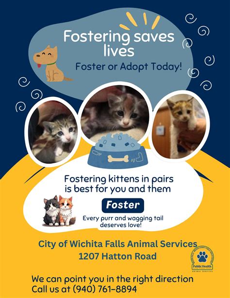 animal control wichita falls 5