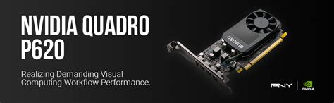 pny quadro p graphic card  gb gddr  profile single slot