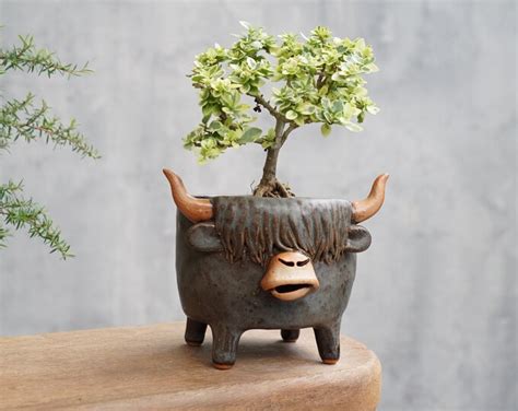 Highland Cow Plant Pot Cow Pottery Handmade Black Cow Etsy