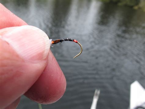 Coastal Oregon Fly Fishing; Spring 2013 | The Caddis Fly: Oregon Fly ...