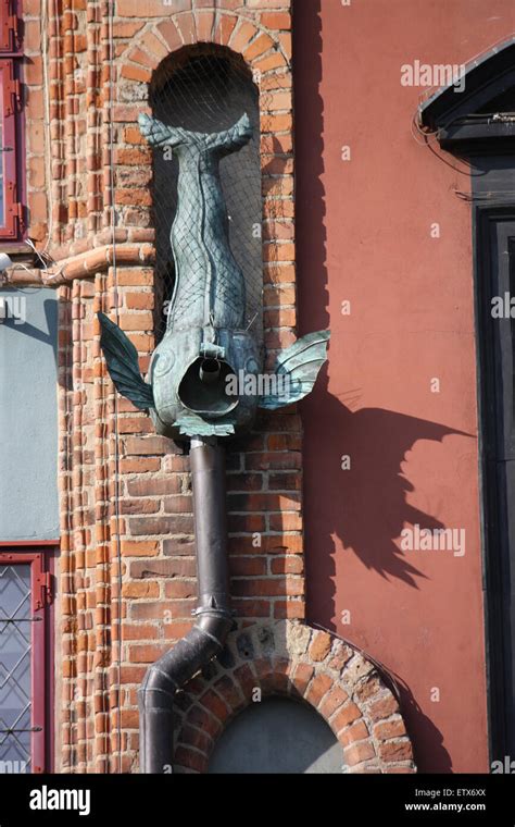 Decorative rain-water spout in the form of a fish Stock Photo - Alamy