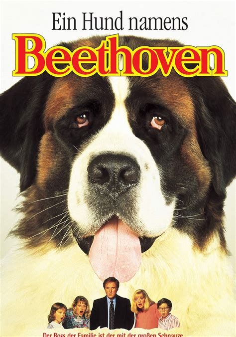 Ein Hund Namens Beethoven Stream Jetzt Online Anschauen