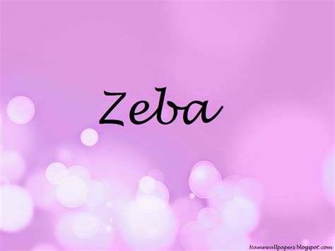 Zeba Name Wallpapers Zeba ~ Name Wallpaper Urdu Name Meaning Name ...