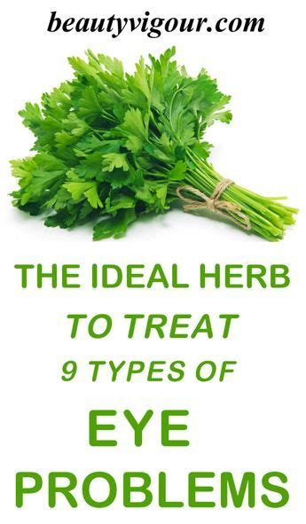 The Ideal Herb To Treat 9 Types Of Eye Problems Eye Health Remedies Herbs Eye Health