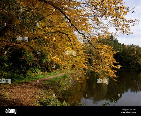 autumn in germany Stock Photo - Alamy