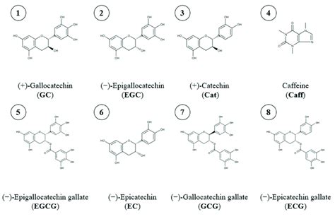 Chemical Structure Of Green Tea Polar Compounds Download Scientific