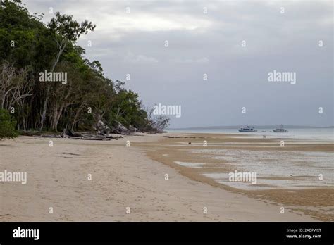 Kingfisher resort fraser island hi-res stock photography and images - Alamy