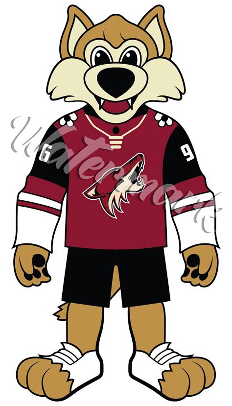 Arizona Coyotes | Sportz For Less