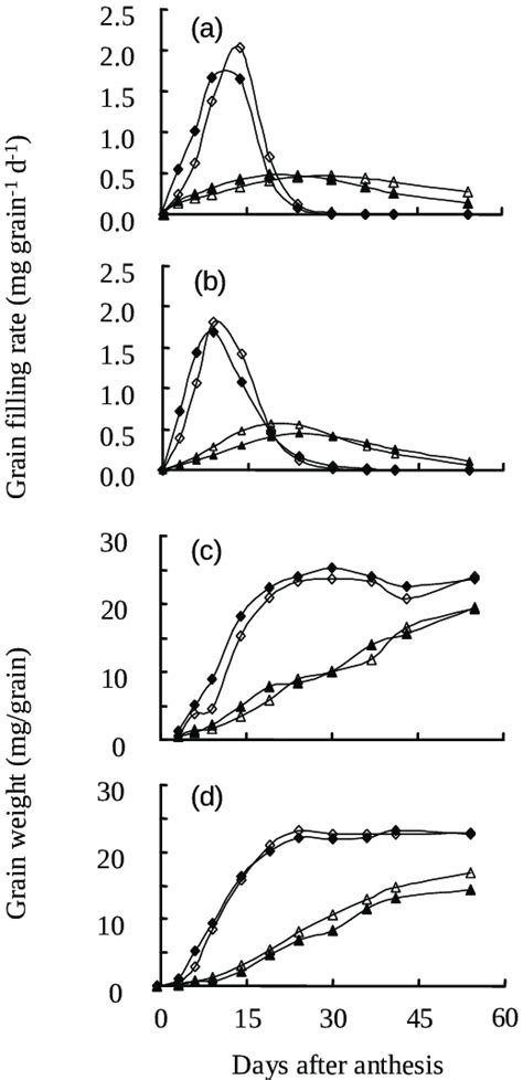 Ab Grain Filling Rate And Cd Grain Weight Of Superior Grains