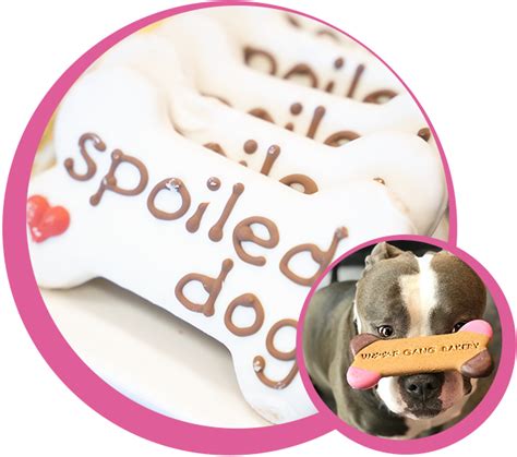 pet franchise story woof gang pet grooming