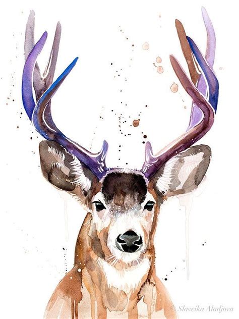 Mule Deer Black Tailed Deer Watercolor Painting Print By Etsy Deer