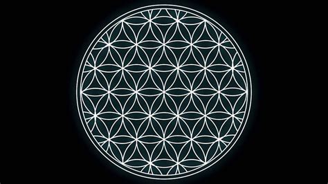 Flower Of Life Hd Wallpaper Pxfuel