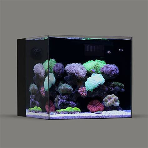 Best 60 Gallon Rimless Aquarium