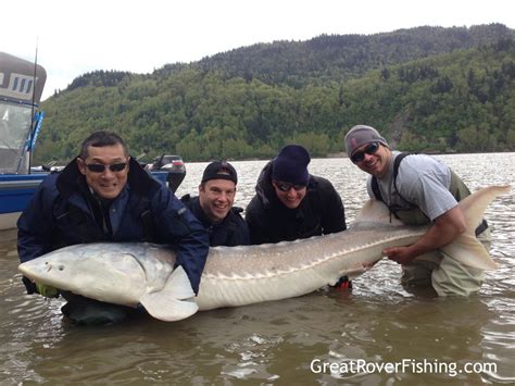 Fishing Report Vancouver Fraser Valley Great River