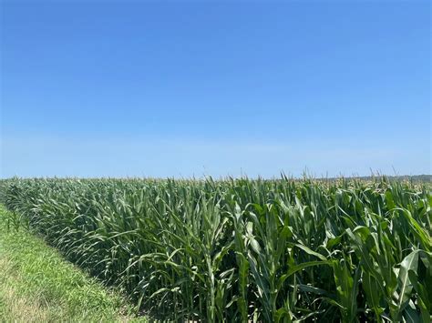 Prioritize Crop Health In Weather Extremes Brownfield Ag News