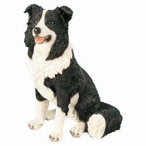 Border Collie Assis Cm En R Sine Achat Vente Statue