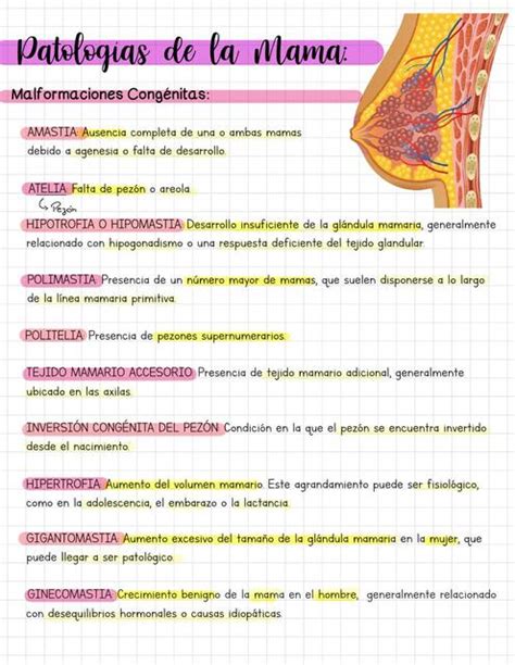 Patologías de la Mama Andressa Surkamp uDocz