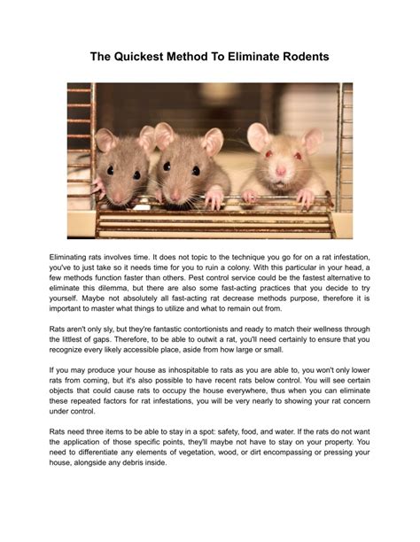 Ppt Rodent Pest Control Geelong Powerpoint Presentation Free