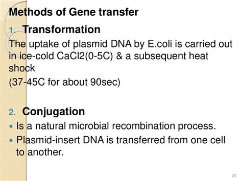 Recombinant Dna Technology Main Ppt