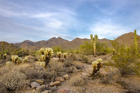 An Arid Adventure The Most Outstanding Of Californias Deserts Lostwaldo