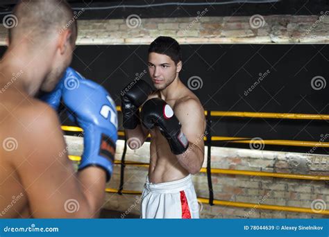 Boxer Doing Sparring Stock Image Image Of Background 78044639