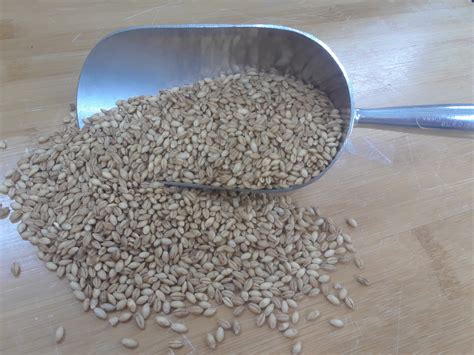 organic hulless barley lb prairie foods