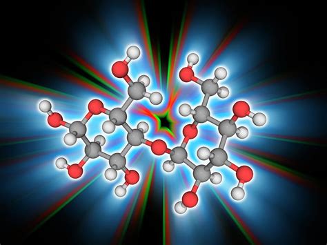 Maltose Organic Compound Molecule Photograph By Laguna Design Science