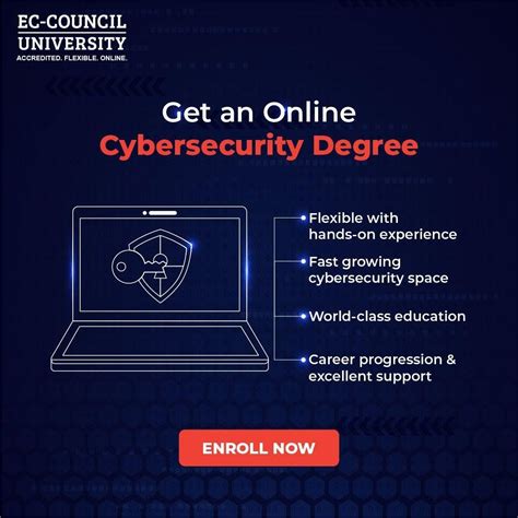 Professional Online Cyber Security Degrees Nikita Sharma