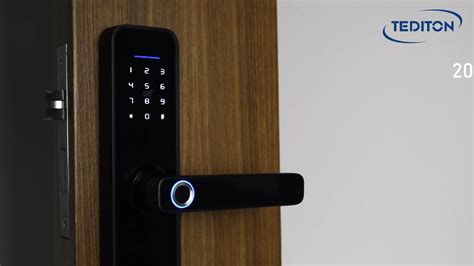 Tuya Wifi App Smart Door Lock Biometric Lock Fingerprint Door Handle Digital Keyless Lock - Buy ...