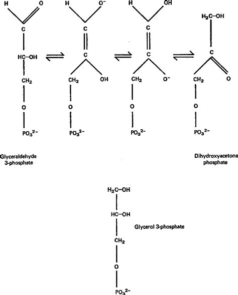 Glycerol Phosphate Structure