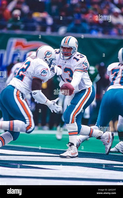 nfl football  marino quarterback   miami dolphins stock photo