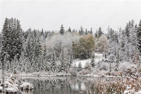 Snowy canadian landscape Stock Photo | Adobe Stock