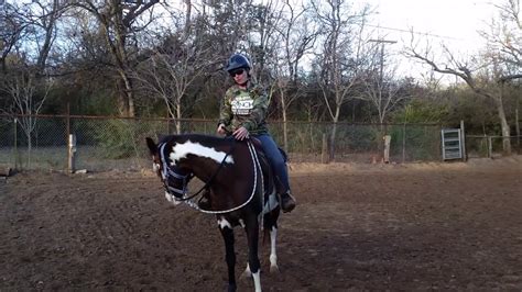 How To Ride A Horse First Time Safely After Groundwork First Ride On