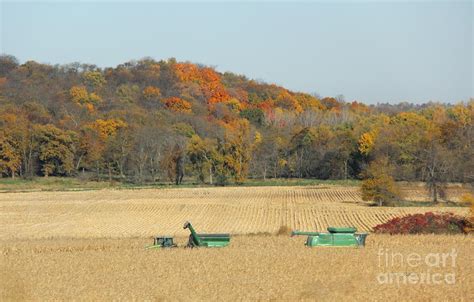 Harvesting Iowa corn Photograph by Yumi Johnson