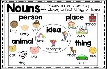 Noun Diagram Quizlet