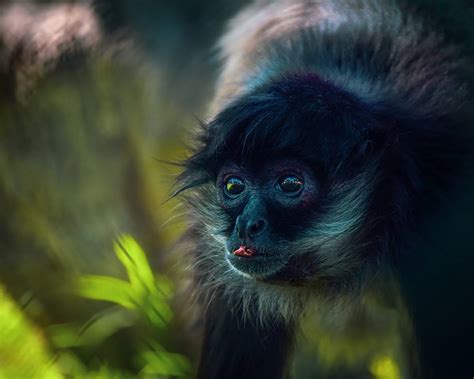 Exposici N Iv Concurso De Fotograf A Ambiental Ubuverde Universidad