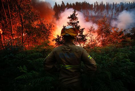 Photos Of The Deadly Wildfires In Portugal The Atlantic