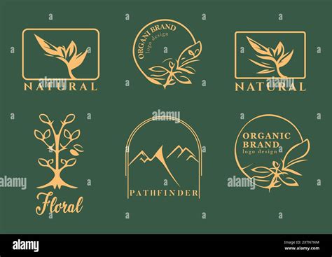 Elegant Natural and Organic Logo Designs in Golden Hue Stock Vector ...