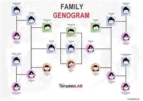 32 Free Family Tree Templates (Word, Excel, PDF, PowerPoint) | Genogram ...